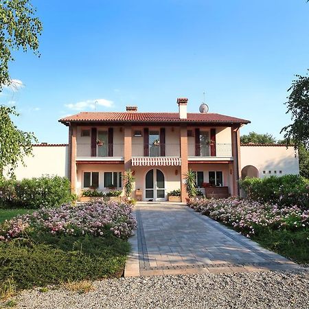 Agriturismo Il Magicorto Cassola Dış mekan fotoğraf
