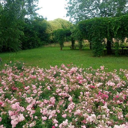 Agriturismo Il Magicorto Cassola Dış mekan fotoğraf