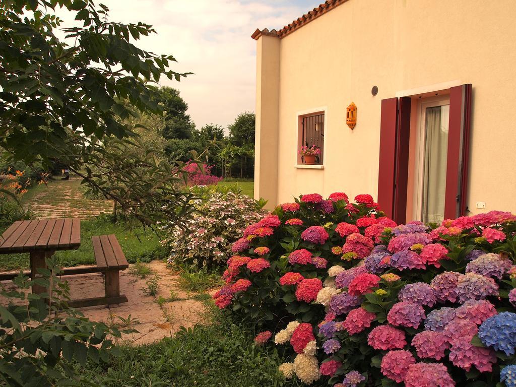 Agriturismo Il Magicorto Cassola Oda fotoğraf