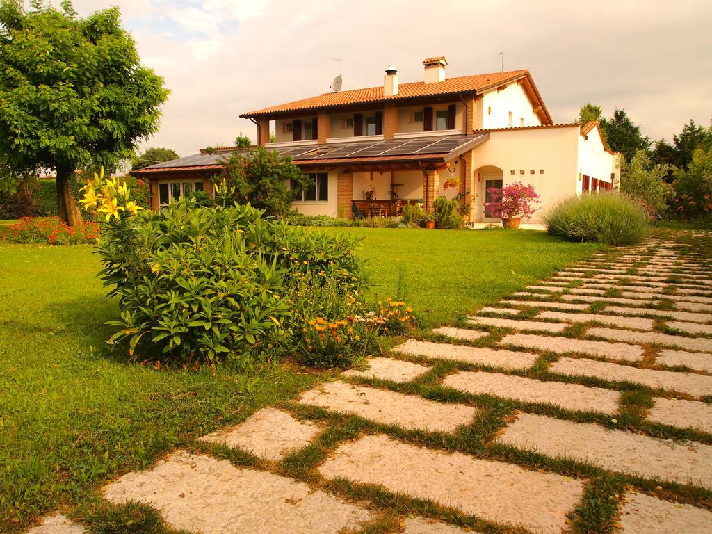 Agriturismo Il Magicorto Cassola Dış mekan fotoğraf