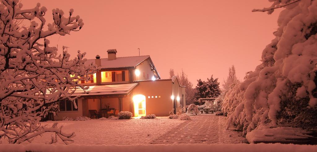 Agriturismo Il Magicorto Cassola Dış mekan fotoğraf