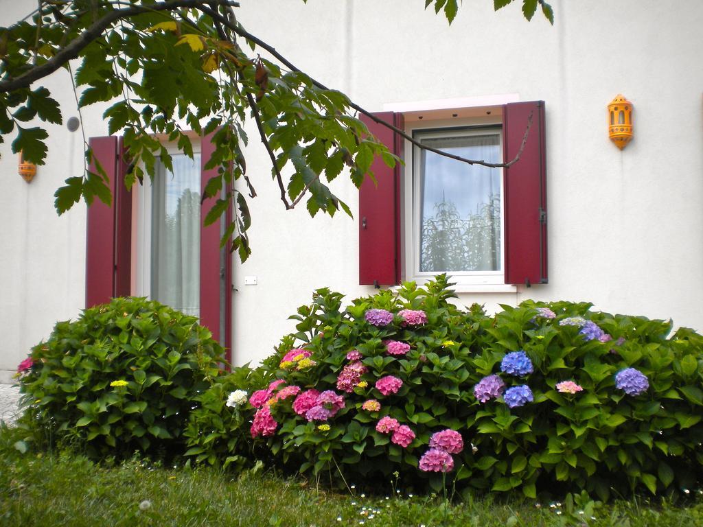 Agriturismo Il Magicorto Cassola Oda fotoğraf