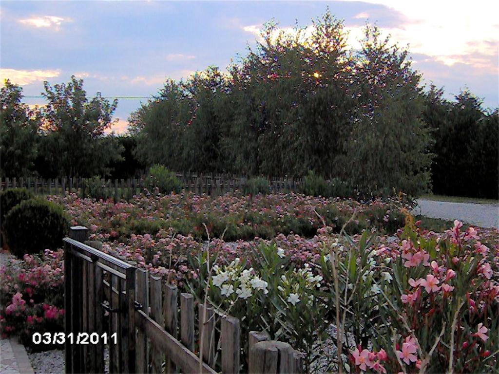 Agriturismo Il Magicorto Cassola Dış mekan fotoğraf