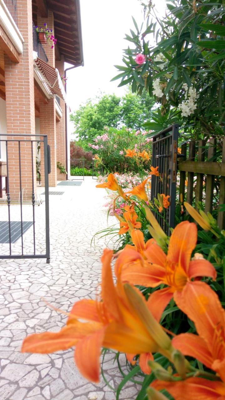 Agriturismo Il Magicorto Cassola Dış mekan fotoğraf