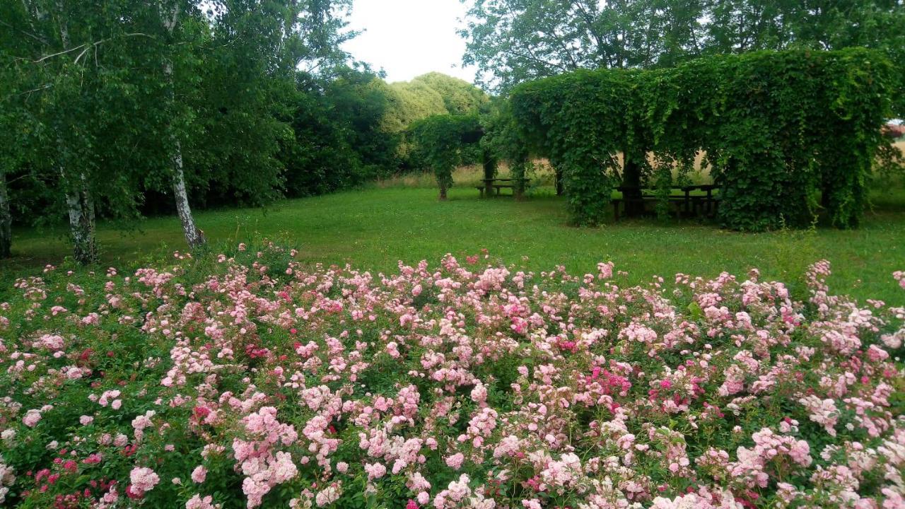 Agriturismo Il Magicorto Cassola Dış mekan fotoğraf
