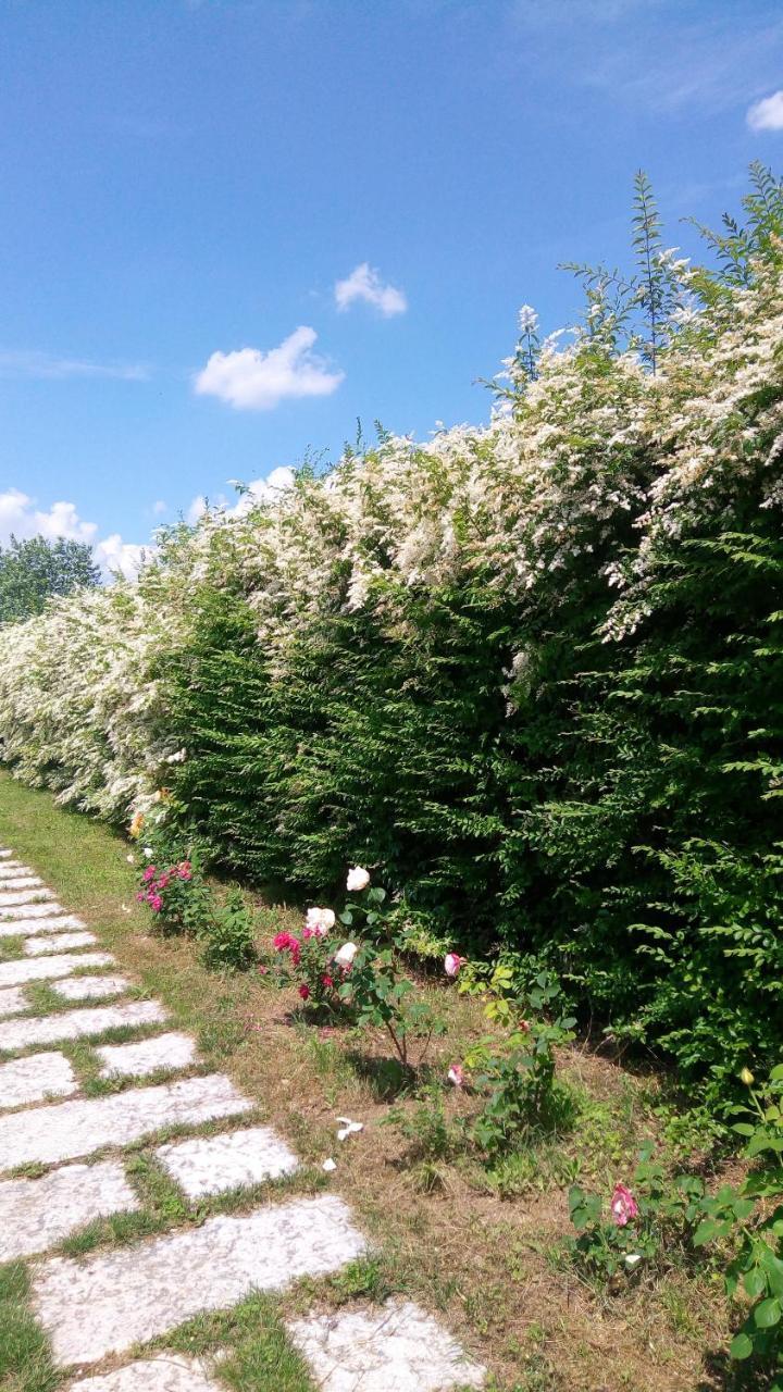 Agriturismo Il Magicorto Cassola Dış mekan fotoğraf