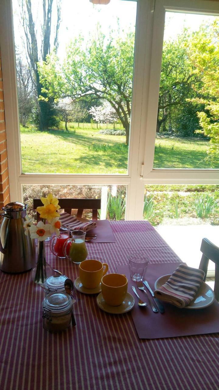 Agriturismo Il Magicorto Cassola Dış mekan fotoğraf